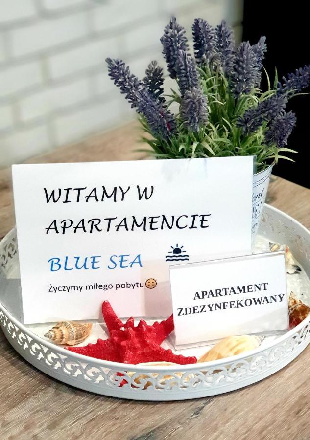 Blue Sea Apartament Lesne Tarasy Дзивновек Экстерьер фото